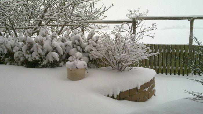 20101218_005