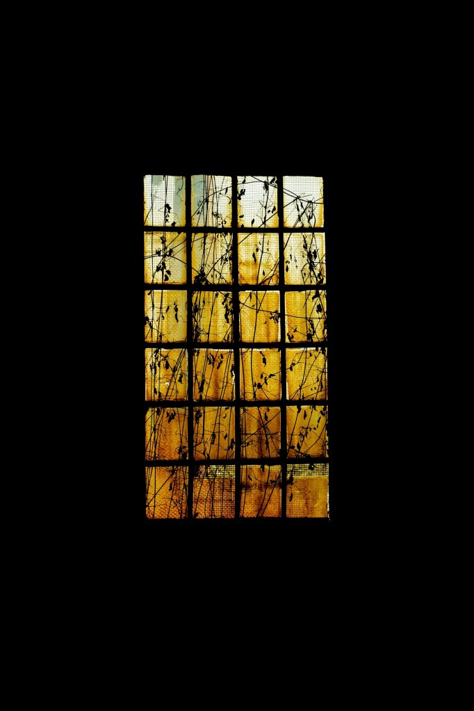 1395636_70142165
