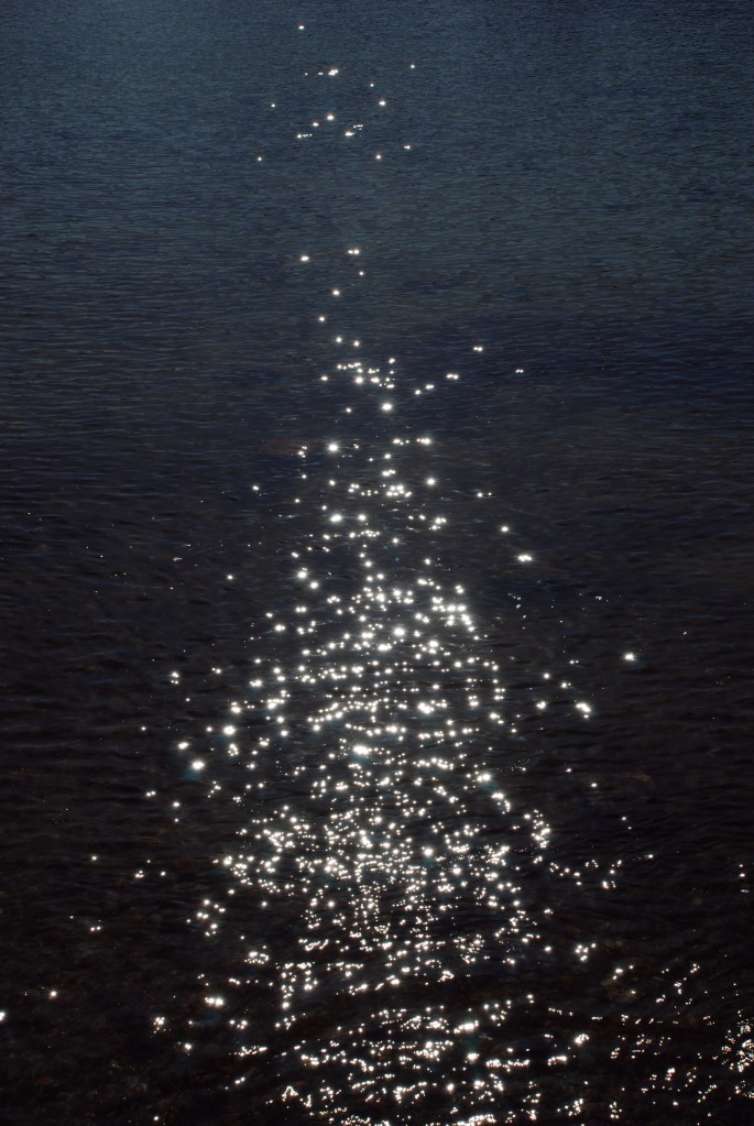1396440_12604465