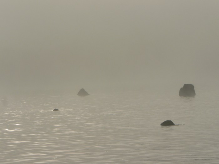 lake-rocks-in-morning-mist