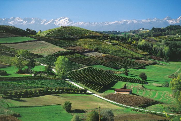 Prunetto 2013
