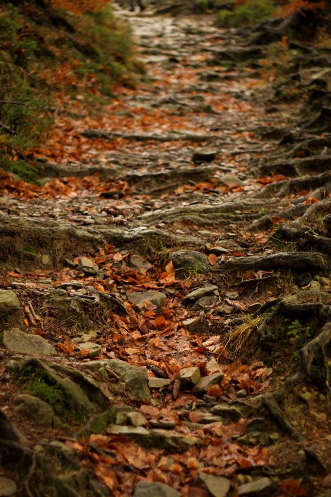 Root and rocky road