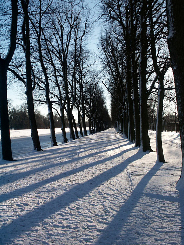 straight-shadows-1461622-639x851