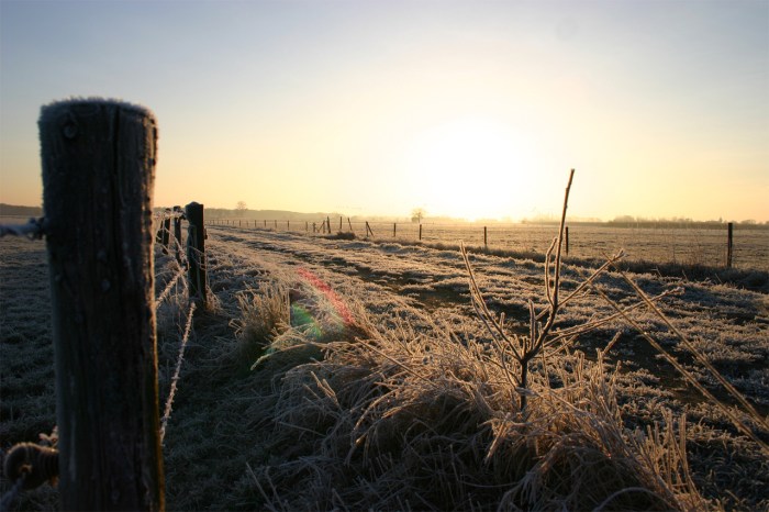 winter-landscape-1521748-1279x852.jpg