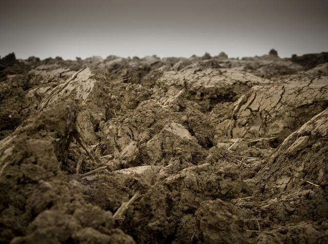 the-field-1188380-639x474