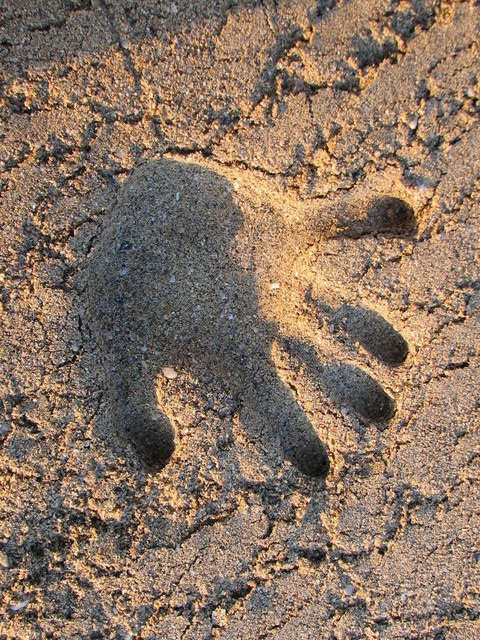 hands-1436113-640x480