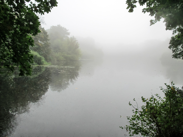 foggy-autumn-lake-2-1617008-640x480