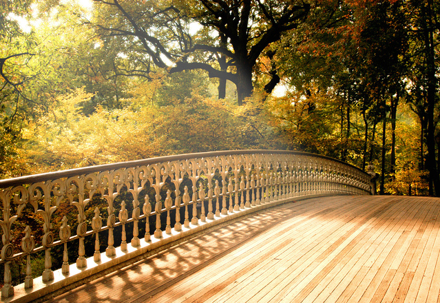 the-light-1217907-639x439