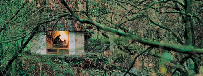 Mangel-Birgt-Ungeheure-Ästhetische-Möglichkeiten_800x300px
