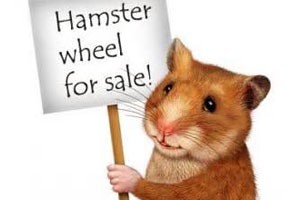 Blog-stor-hamsterhjul-300x200
