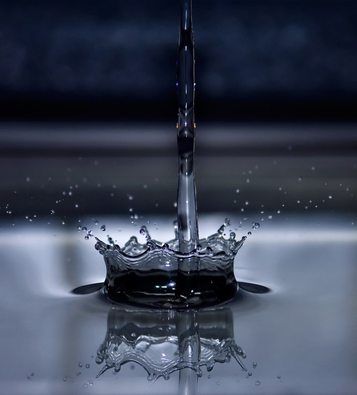 fluid-crown-1174289-1279x1417
