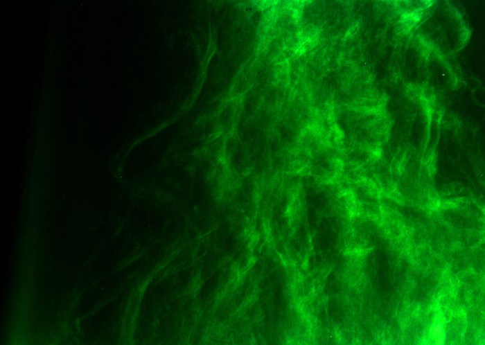 the-light-of-souls-1200718-1279x910