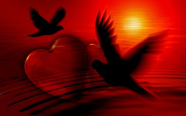 heart-dove-81207_640-640x400