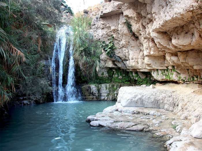 national-park-Ein-Gedi-new