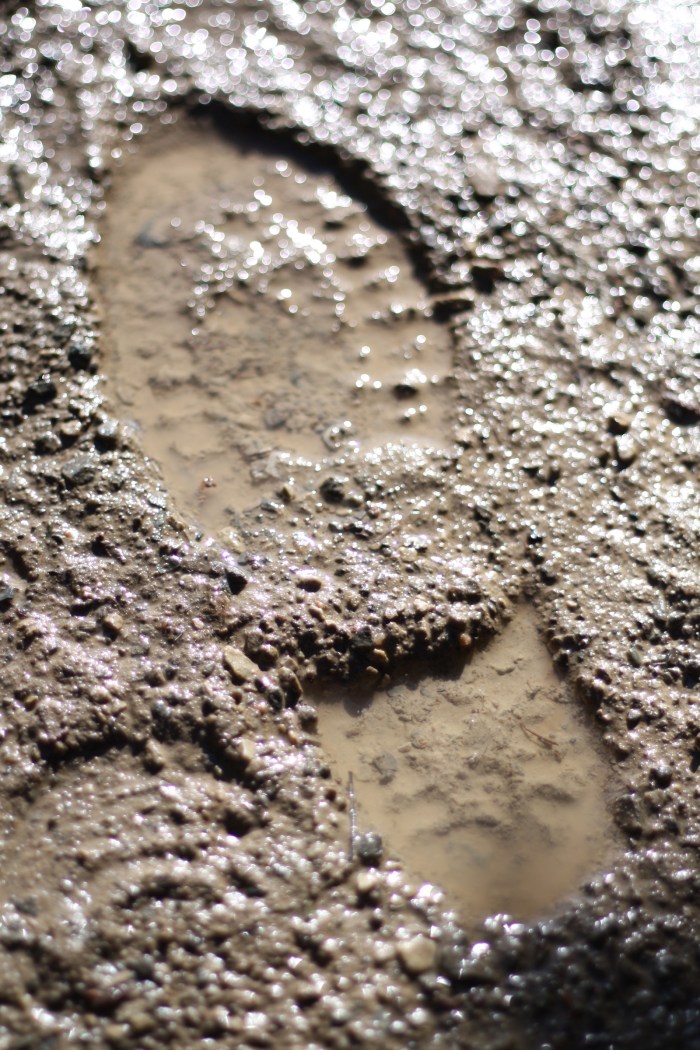 mud-shoe-print-1341848-1600x2400