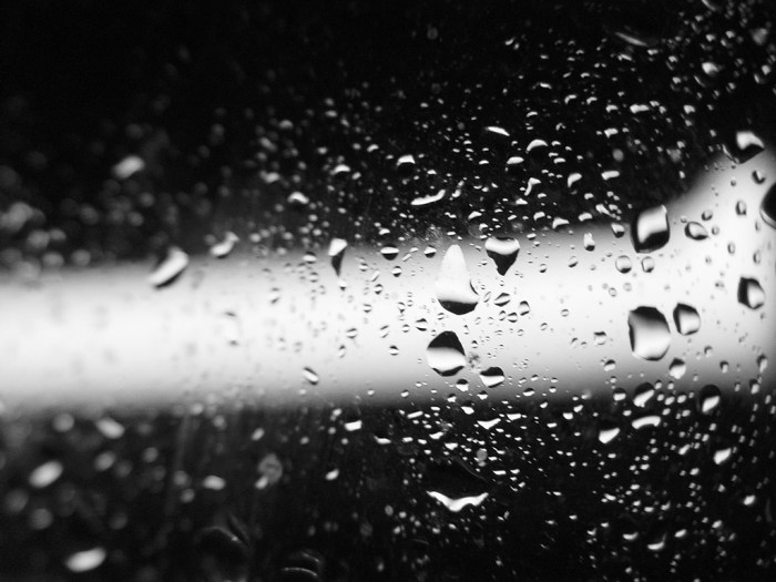 rain-1460398