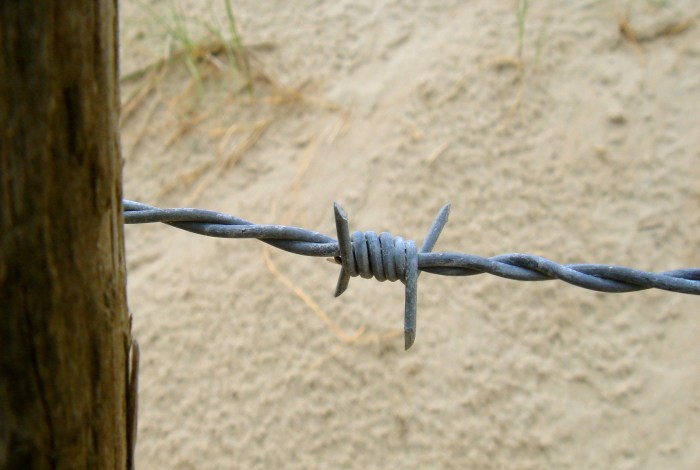 barbed-wire-1310612-1599x1075