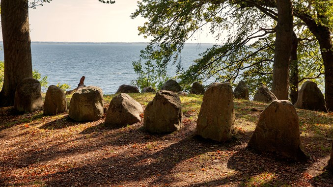 tobiasmarkussen_kongsoreskov_tingstedet_langdysse_yngre_stenalder_02