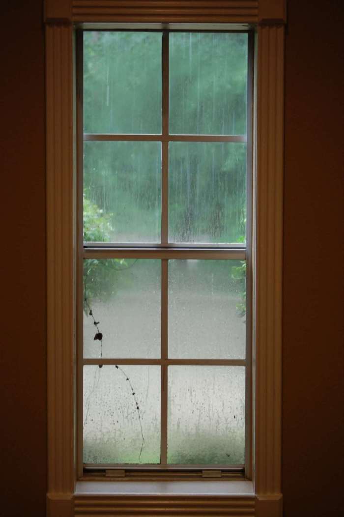 window-1217875-1599x2404